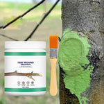 Big tree wound healing agent