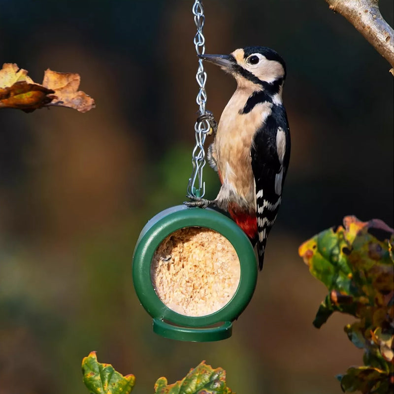 Hanging Bird Feeder