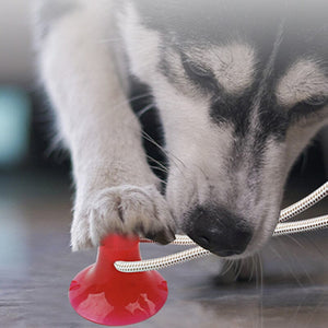 Multifunction Pet Molar Bite Toy