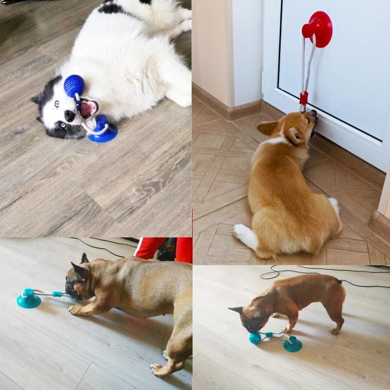 Multifunction Pet Molar Bite Toy