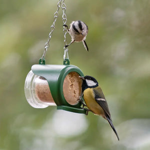 Hanging Bird Feeder