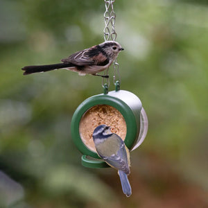 Hanging Bird Feeder