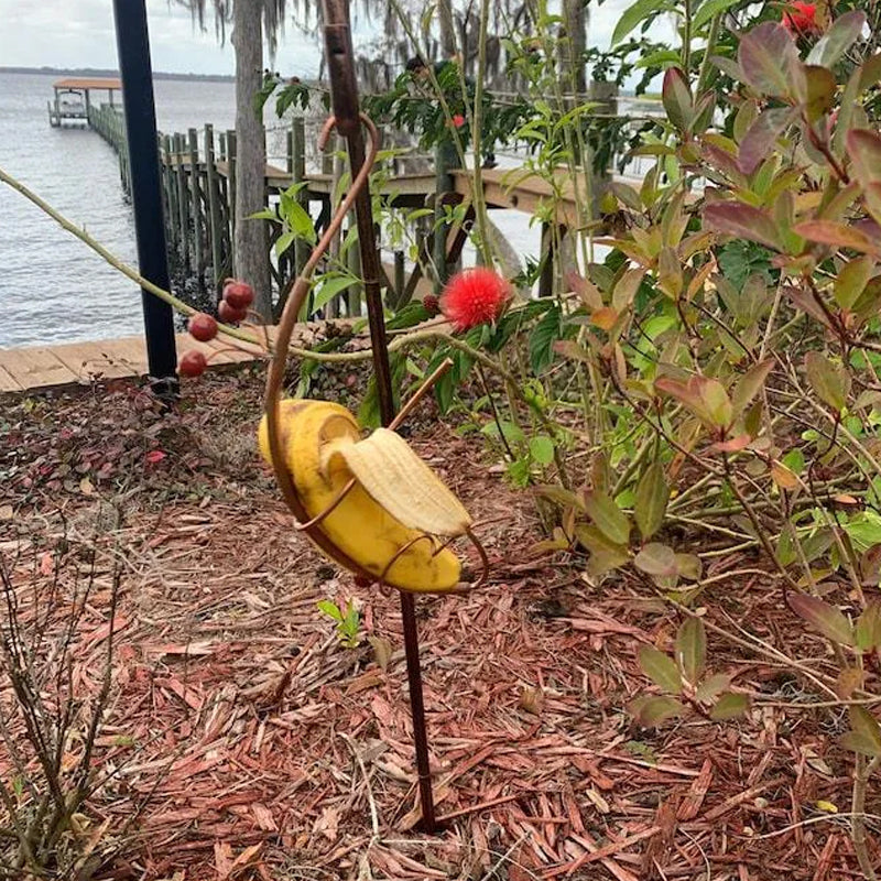 Butterfly Banana Hammock-Butterfly Feeder