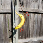 Butterfly Banana Hammock-Butterfly Feeder