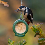 Hanging Bird Feeder