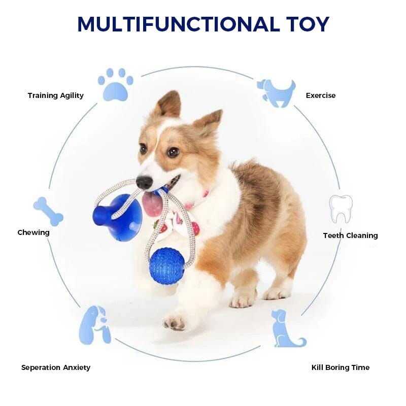 Multifunction Pet Molar Bite Toy