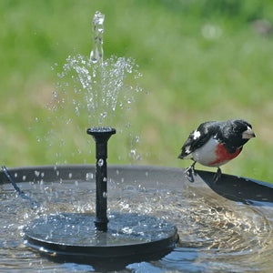 Solar Fountain Pump