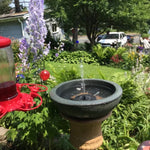 Solar Fountain Pump