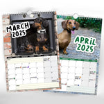 Cheeky Dachshunds - 2025 Wall Calendar