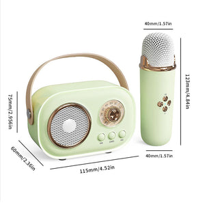 Mini Karaoke Machine & Bluetooth Speaker With Wireless Microphone