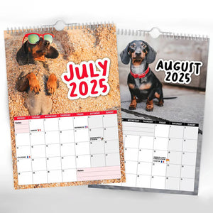 Cheeky Dachshunds - 2025 Wall Calendar