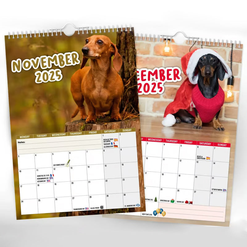 Cheeky Dachshunds - 2025 Wall Calendar