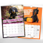 Cheeky Dachshunds - 2025 Wall Calendar