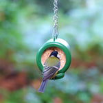 Hanging Bird Feeder