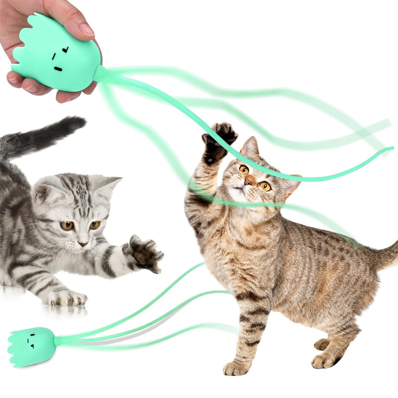 Indoor Cat Toys