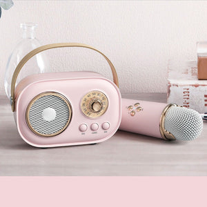 Mini Karaoke Machine & Bluetooth Speaker With Wireless Microphone