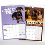 Cheeky Dachshunds - 2025 Wall Calendar