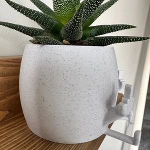 🤣Smiling Plant Pot with Middle Fingers Up