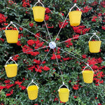 Ferris Wheel Bird Feeder