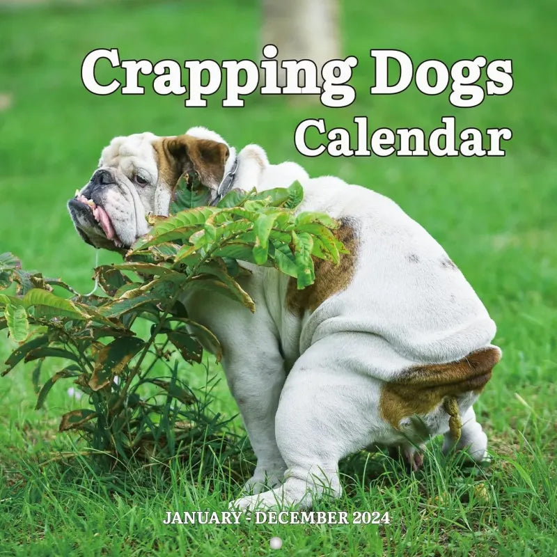 The funniest calendar of this century | The "artistic expression" of furry friends