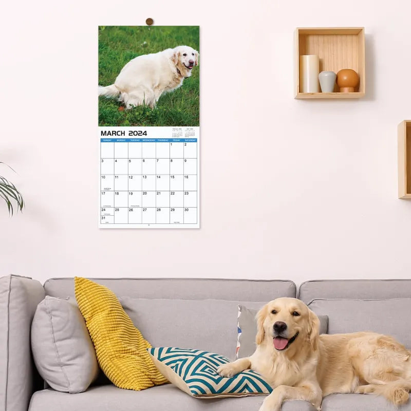 The funniest calendar of this century | The "artistic expression" of furry friends