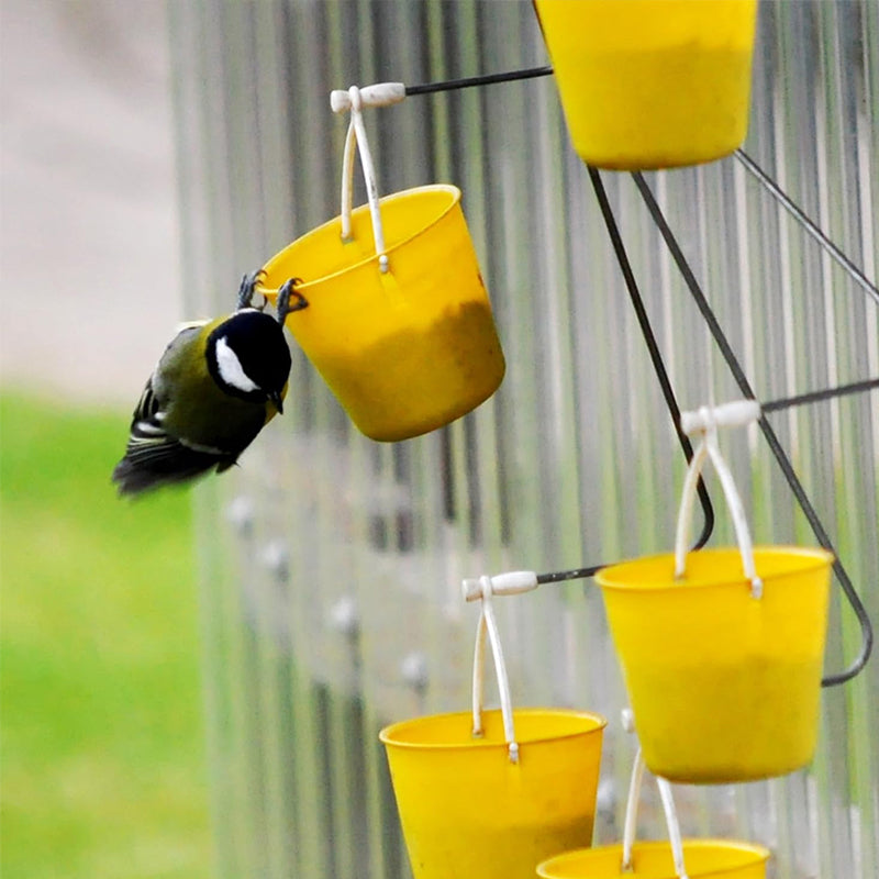 Ferris Wheel Bird Feeder