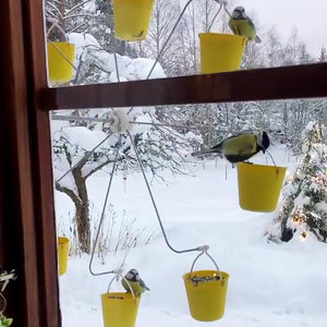 Ferris Wheel Bird Feeder