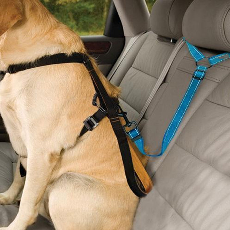 Dog Car Seat Belt