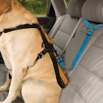 Dog Car Seat Belt