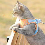 Cat Vest Harness and Leash Set