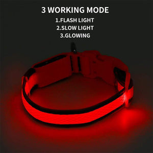 DOG LED COLLARS