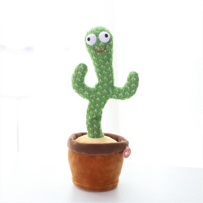 Dancing Cactus