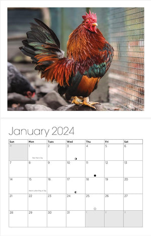 Big Cocks 2024 Wall Calendar - A Classy Collection of Rooster Photos