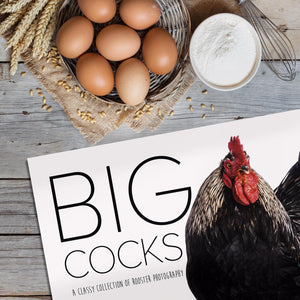 Big Cocks 2024 Wall Calendar - A Classy Collection of Rooster Photos