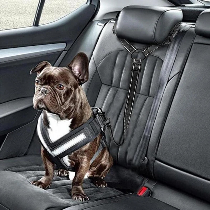 Dog Car Seat Belt