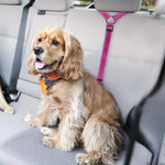 Dog Car Seat Belt