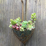 Planting Succulent Heart Pocket Planter