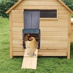 Poultry Farm Automatic Chicken House Door