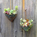 Planting Succulent Heart Pocket Planter