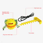 Pet Rope Ball Outdoor Training Toy