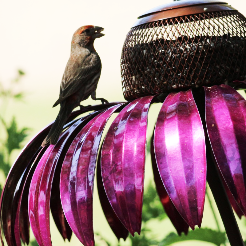 Coneflower Bird Feeder