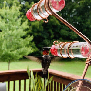 Window Hummingbird Feeder