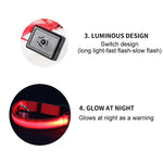 DOG LED COLLARS