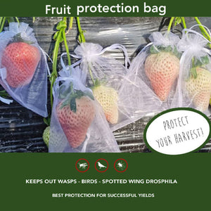 Fruit Protection Bag(100 PCS)