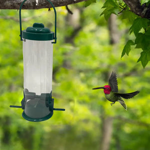 Squirrel-Proof Bird Feeder