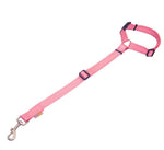 Dog Car Seat Belt