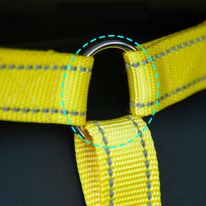 Dog Car Seat Belt