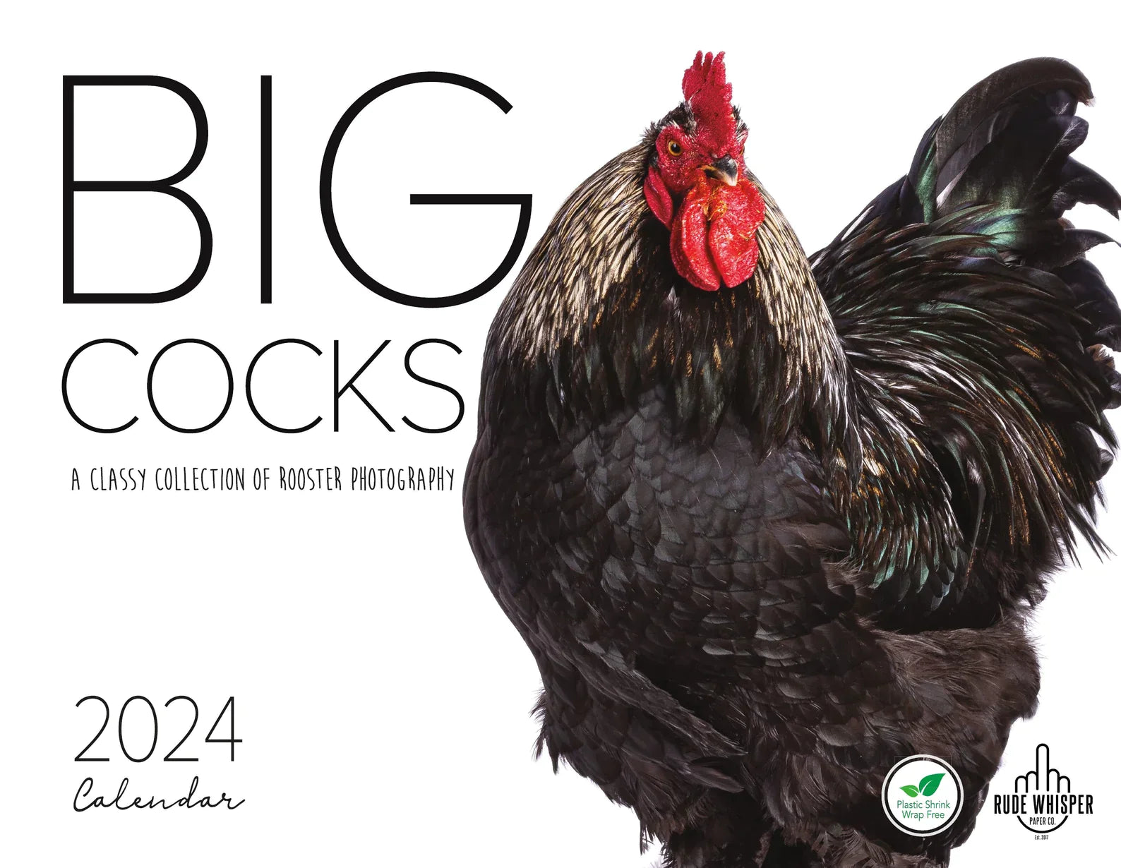 Big Cocks 2024 Wall Calendar - A Classy Collection of Rooster Photos