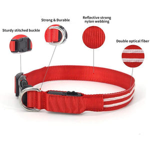 DOG LED COLLARS