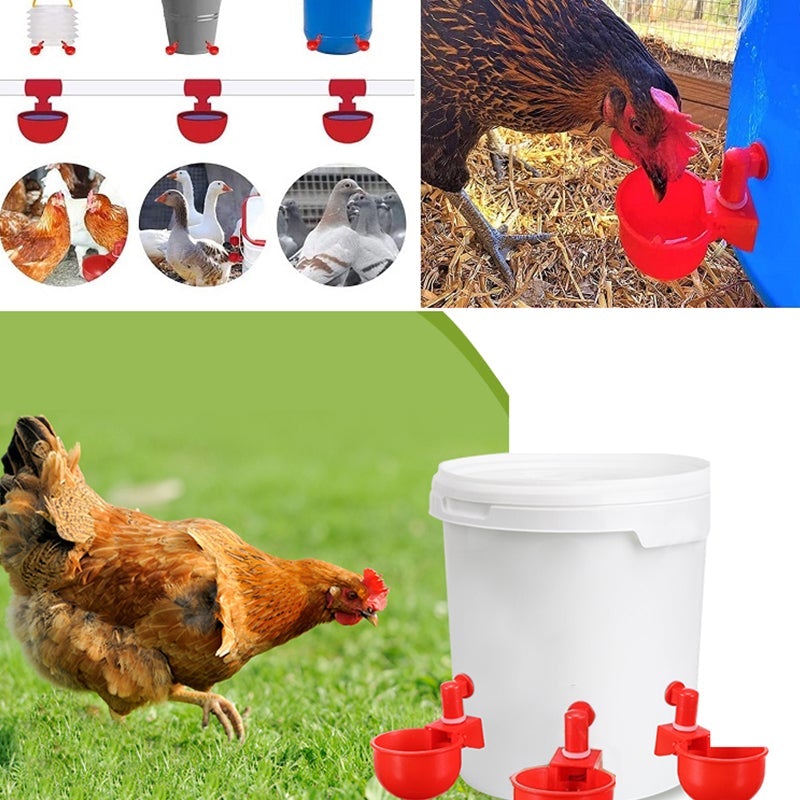 Automatic Poultry Waterer